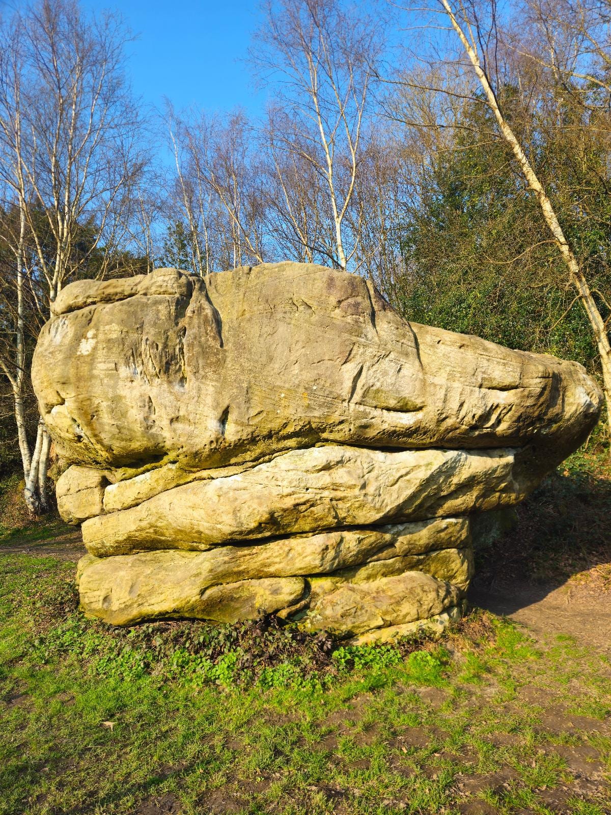 Back Breaker topo preview