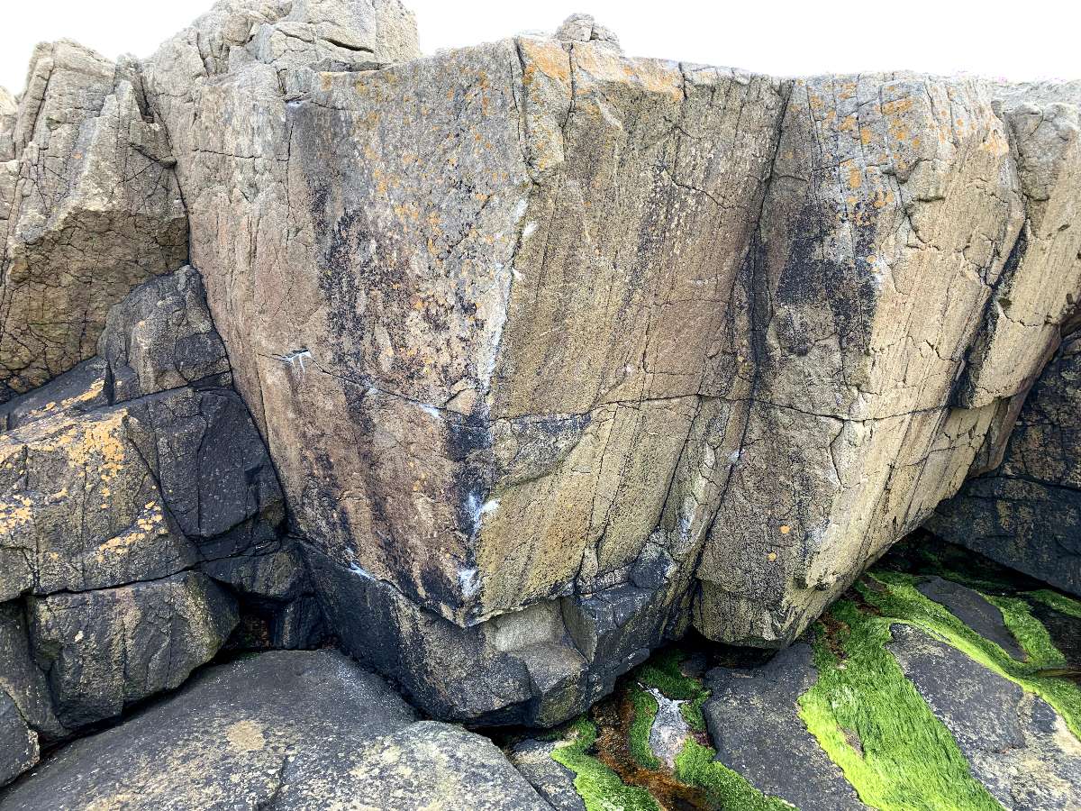 Michelangelo (SS) topo preview