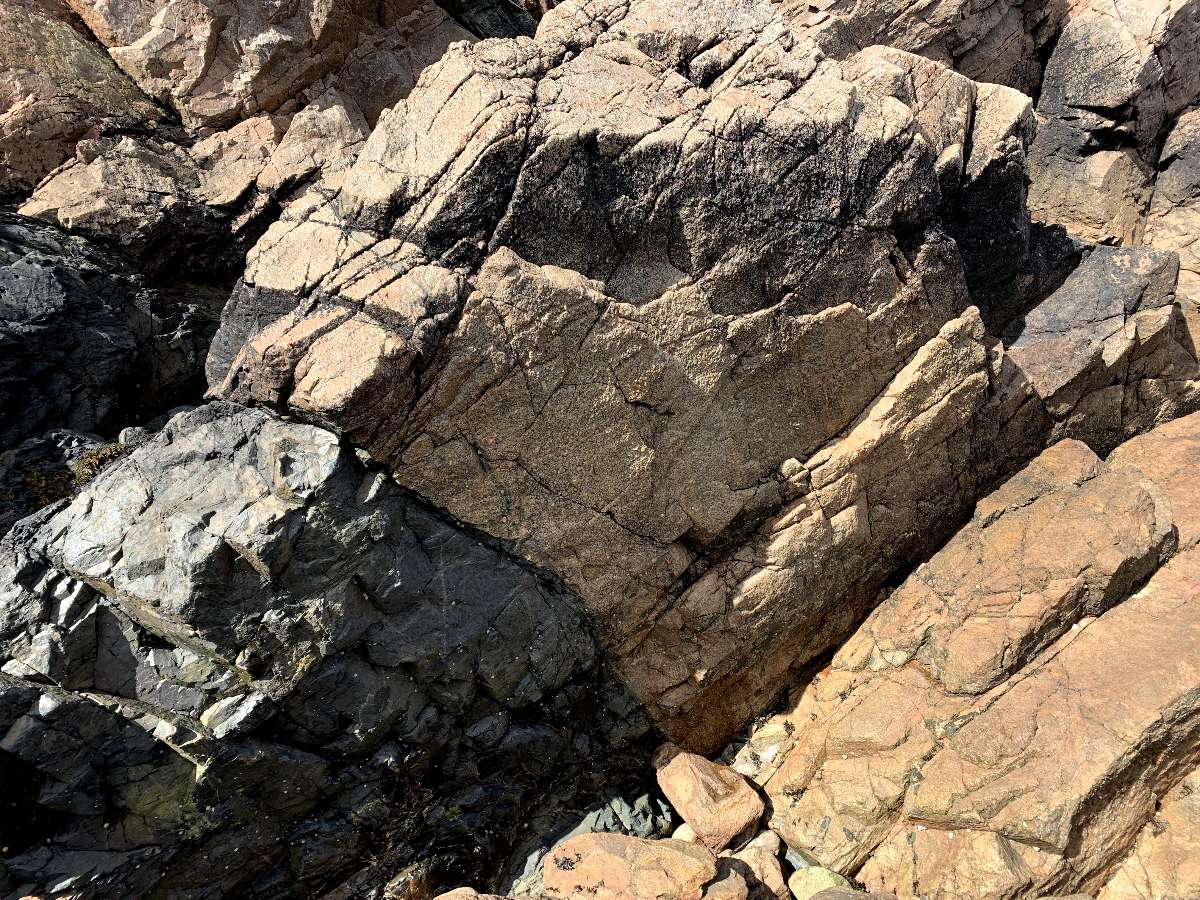 Ring (SS) topo preview