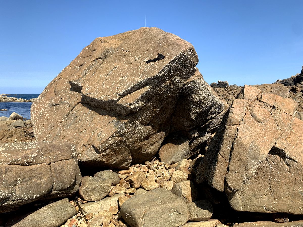 Tabitha (SS) topo preview