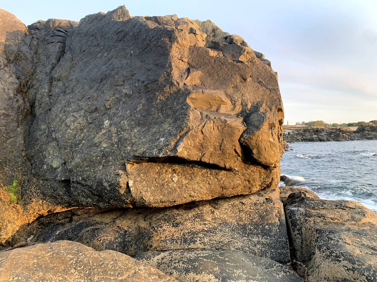 Total Wipeout topo preview