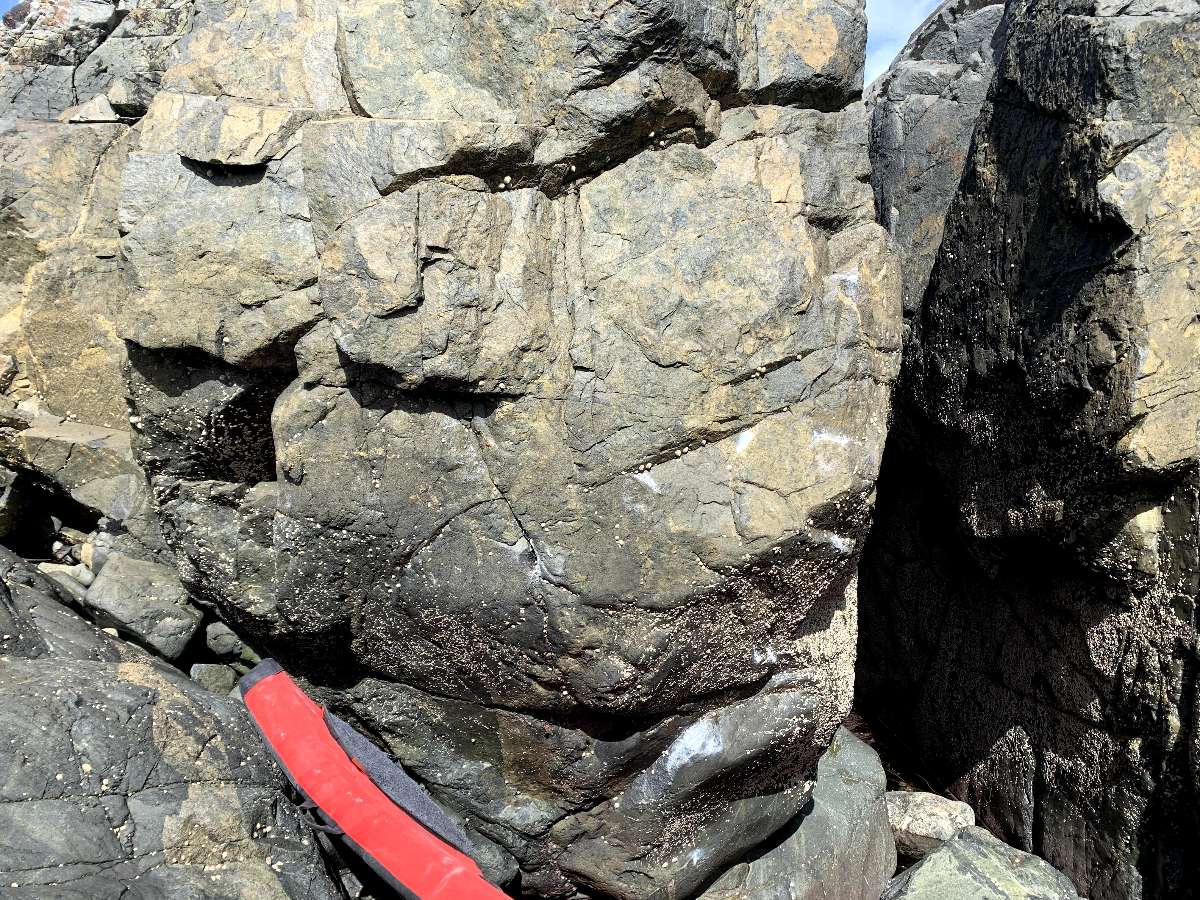 The Inbetweeners topo preview