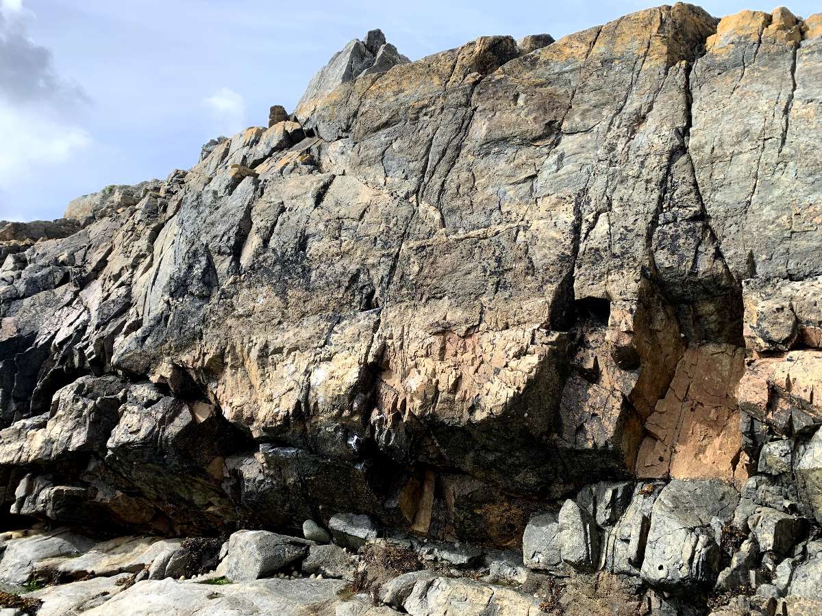 Waggle Dance (SS) topo preview