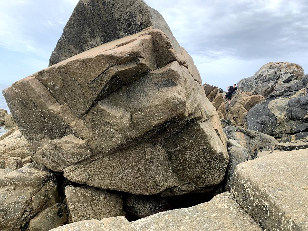 Muad'Dib (SS) topo preview