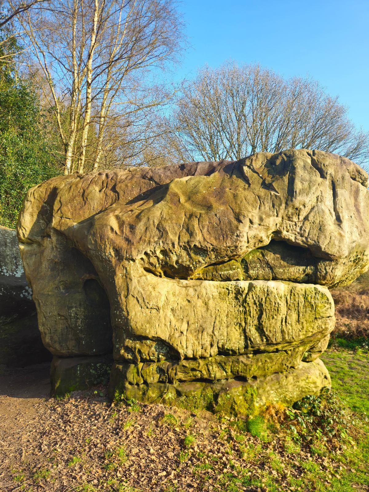 Groovy Graeme topo preview