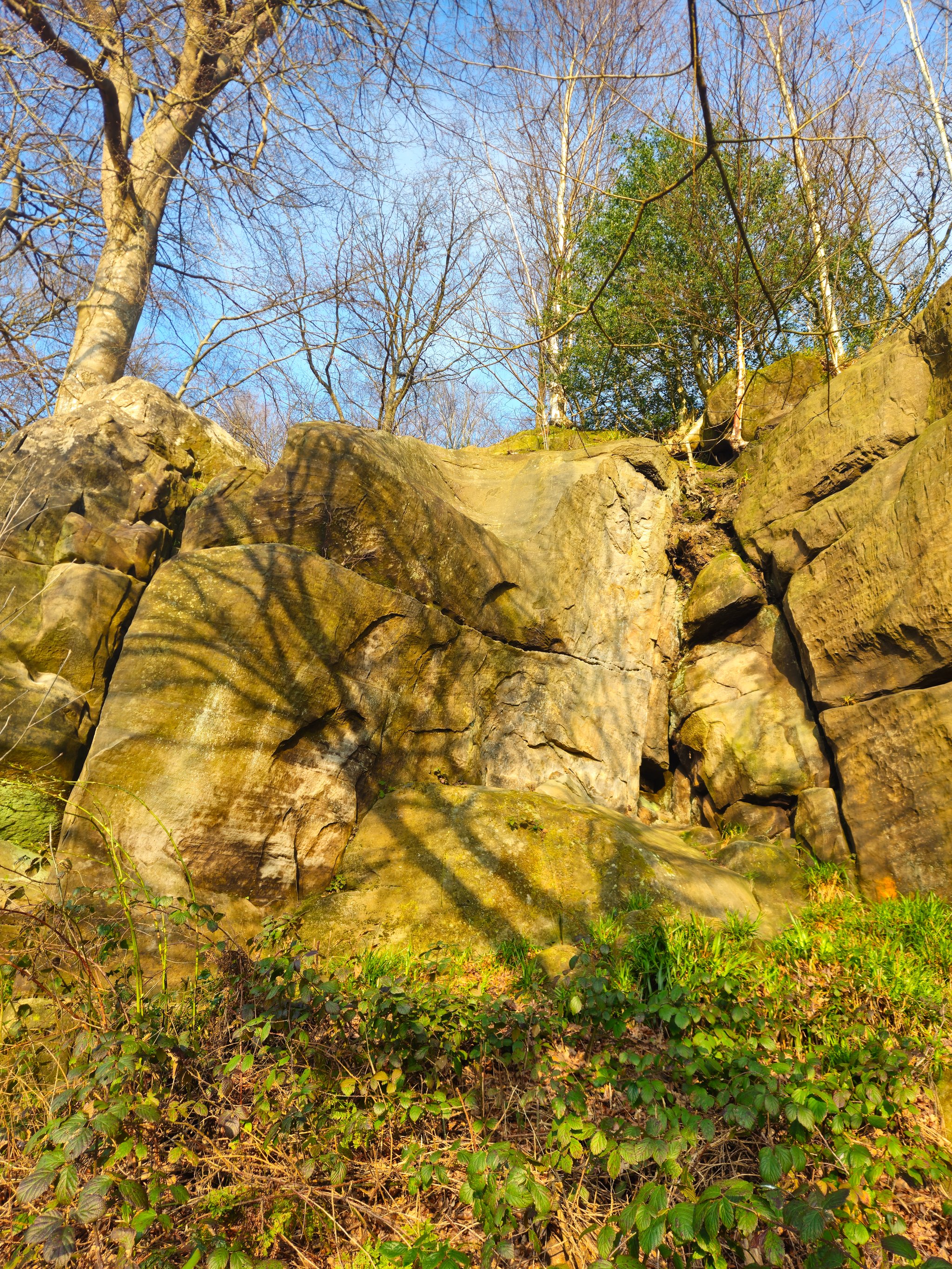 Beech Corner topo preview