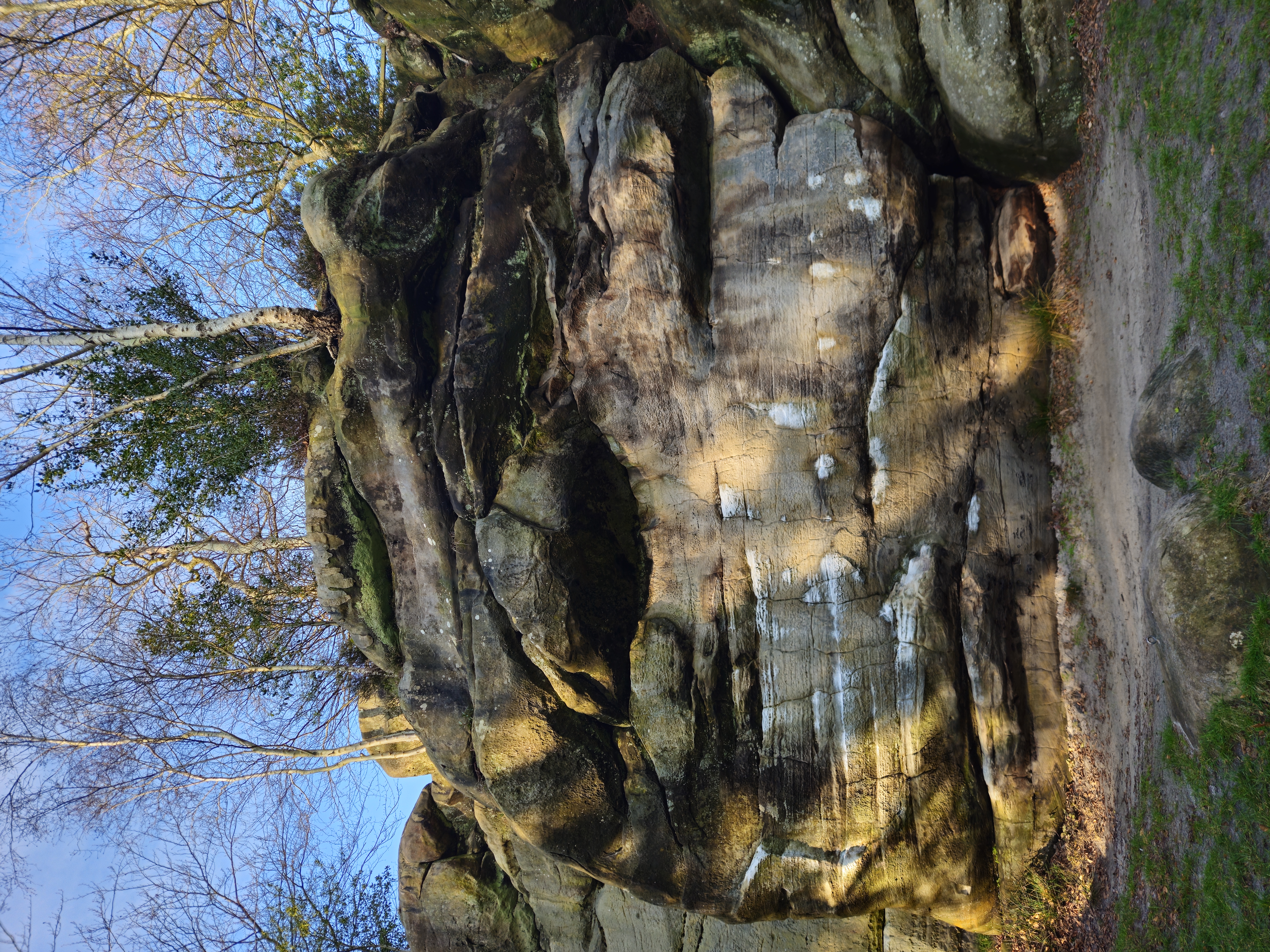 Nicotine Alley topo preview