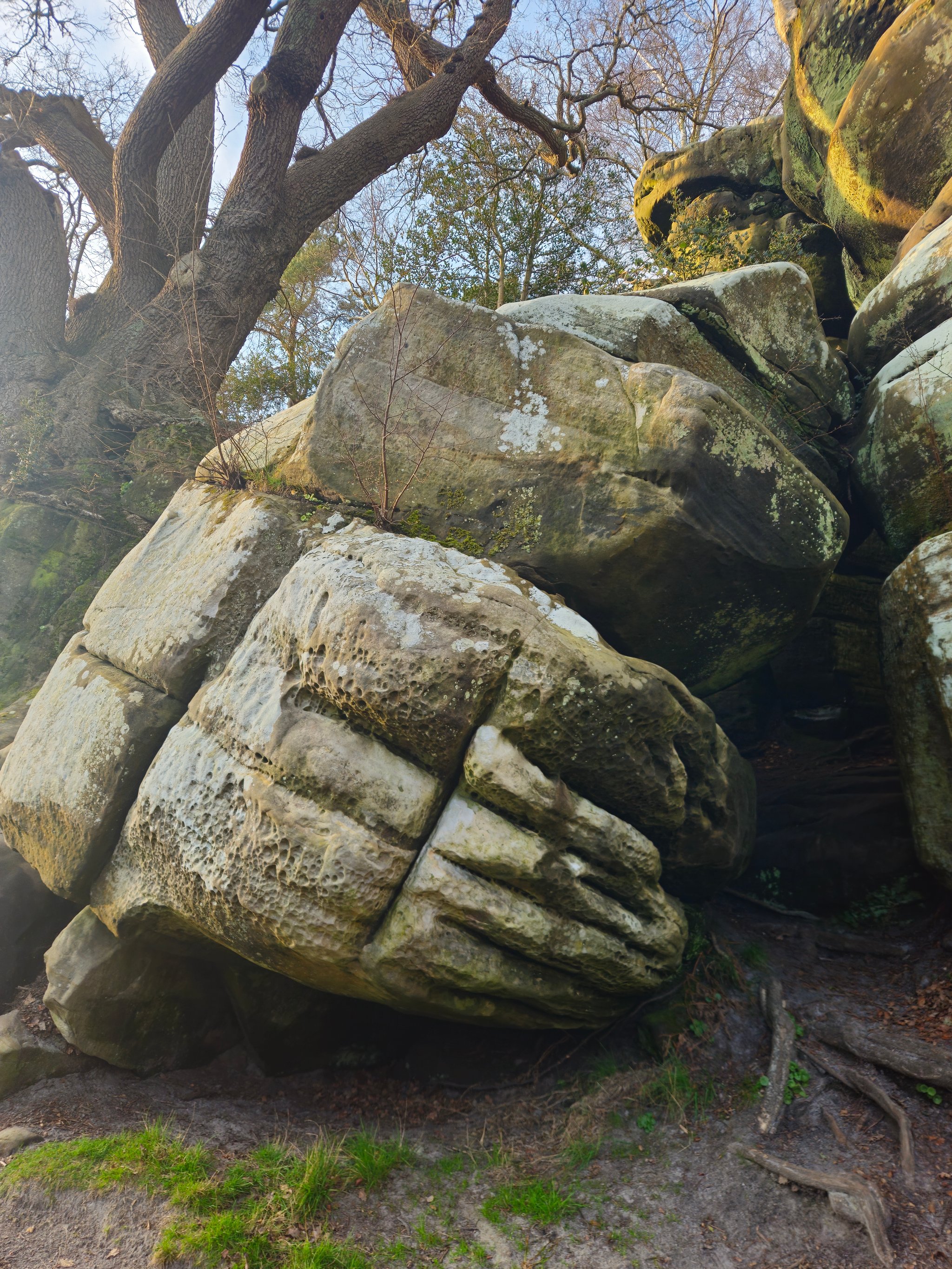 Cave Boulder Roof topo preview